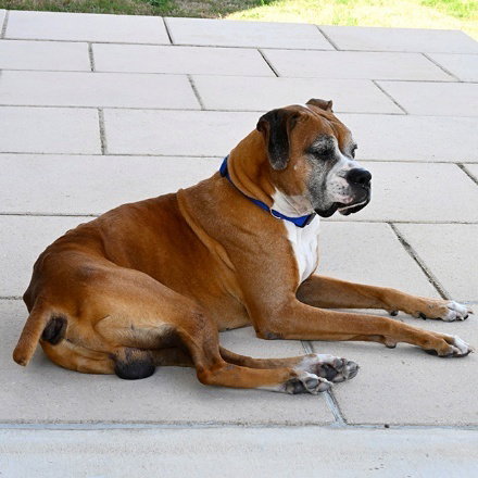 Kasim, photo 4