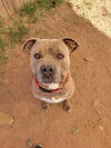 Craig - Photo 4