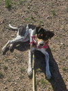 Avery - Photo 3
