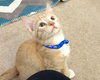Colby