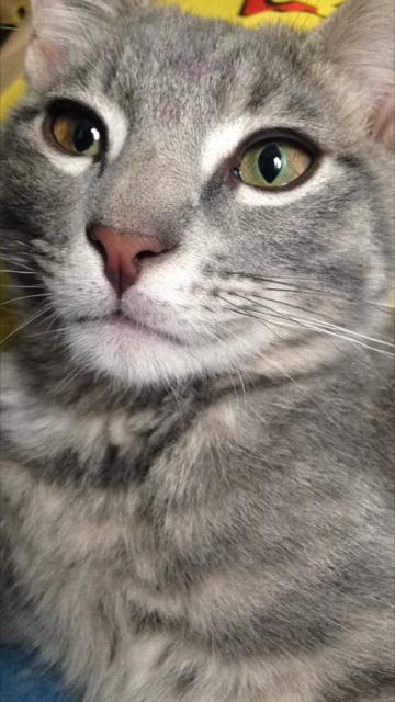 Charlie