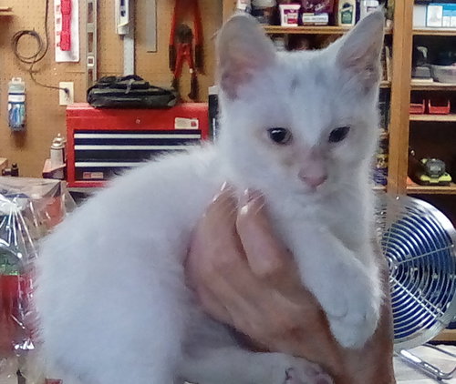 Smudge
