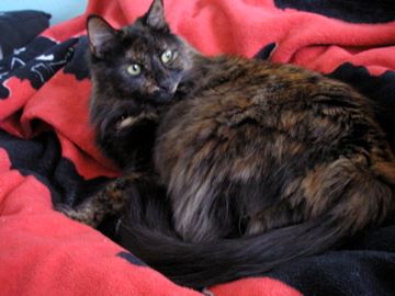 Pru