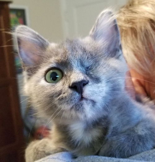 Meg