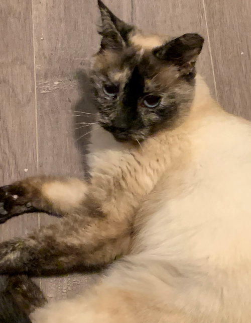 Chloe
