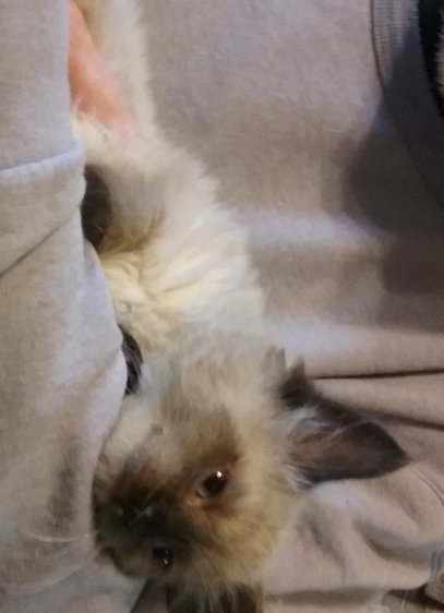 Skye