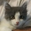 Catie