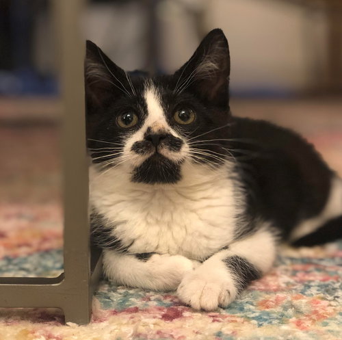charlie