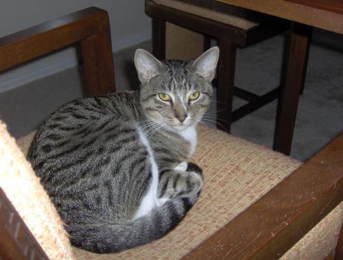 Max