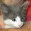 Athos
