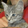 Athos