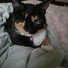 Cleo