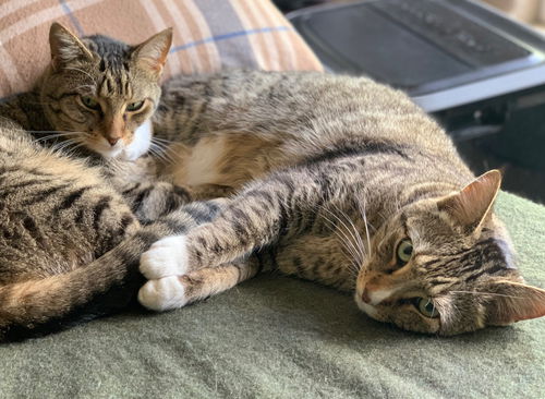 Penny and Leonard