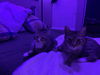 Penny and Leonard