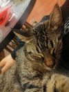 Melvin