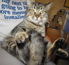 Melvin