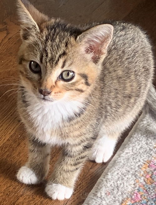 Marcy Mae