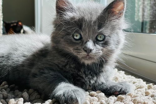 marble