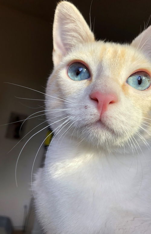 roberto