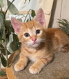 camilo