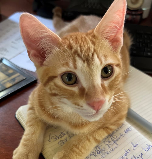 camilo