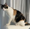 lucy
