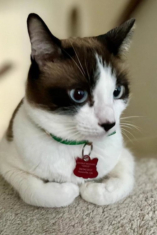Coco