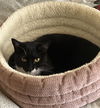 tux