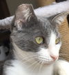 Chiquita