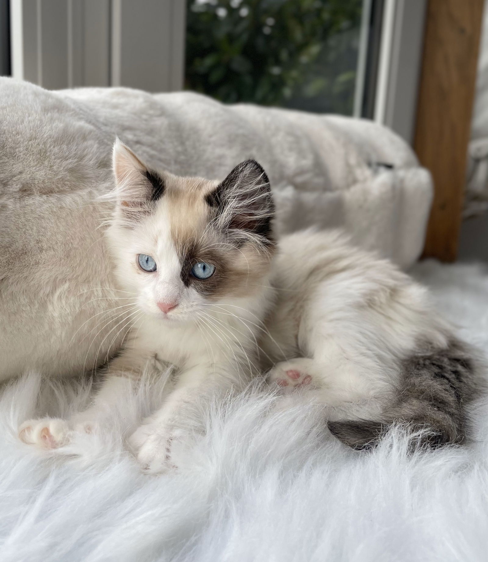 chloe