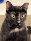 Eleanor