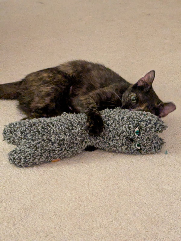 eleanor