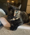 eleanor