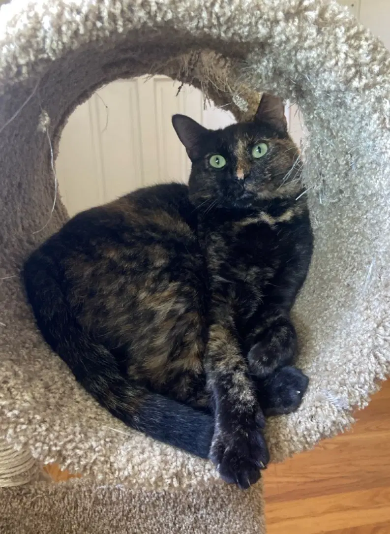 Eleanor image 2