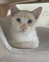 lenny