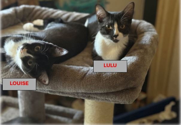 lulu and louise