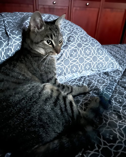 tilly