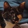 Ella