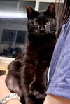 JiJi