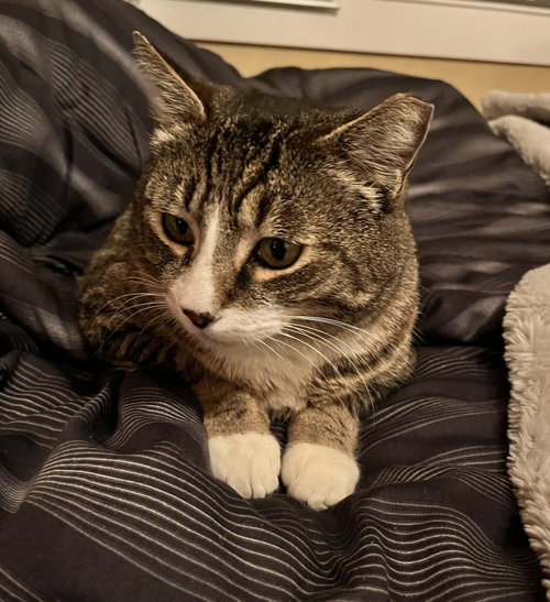 Photo 2 of Mr. Bagel