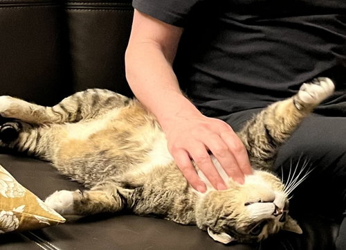 Photo 3 of Mr. Bagel