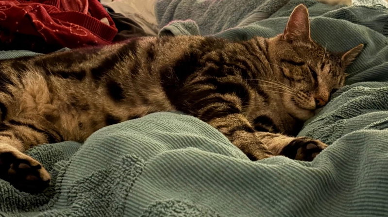 max, photo 2