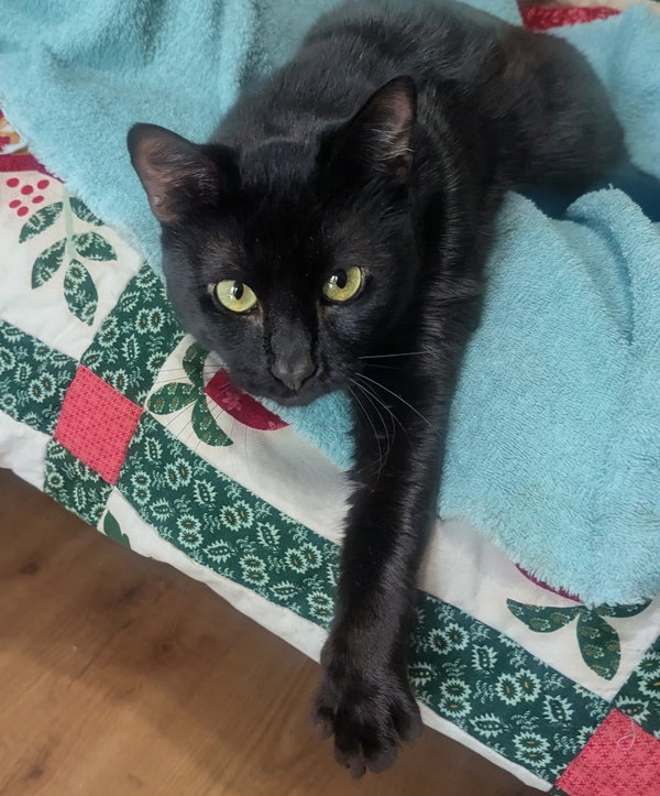 onyx