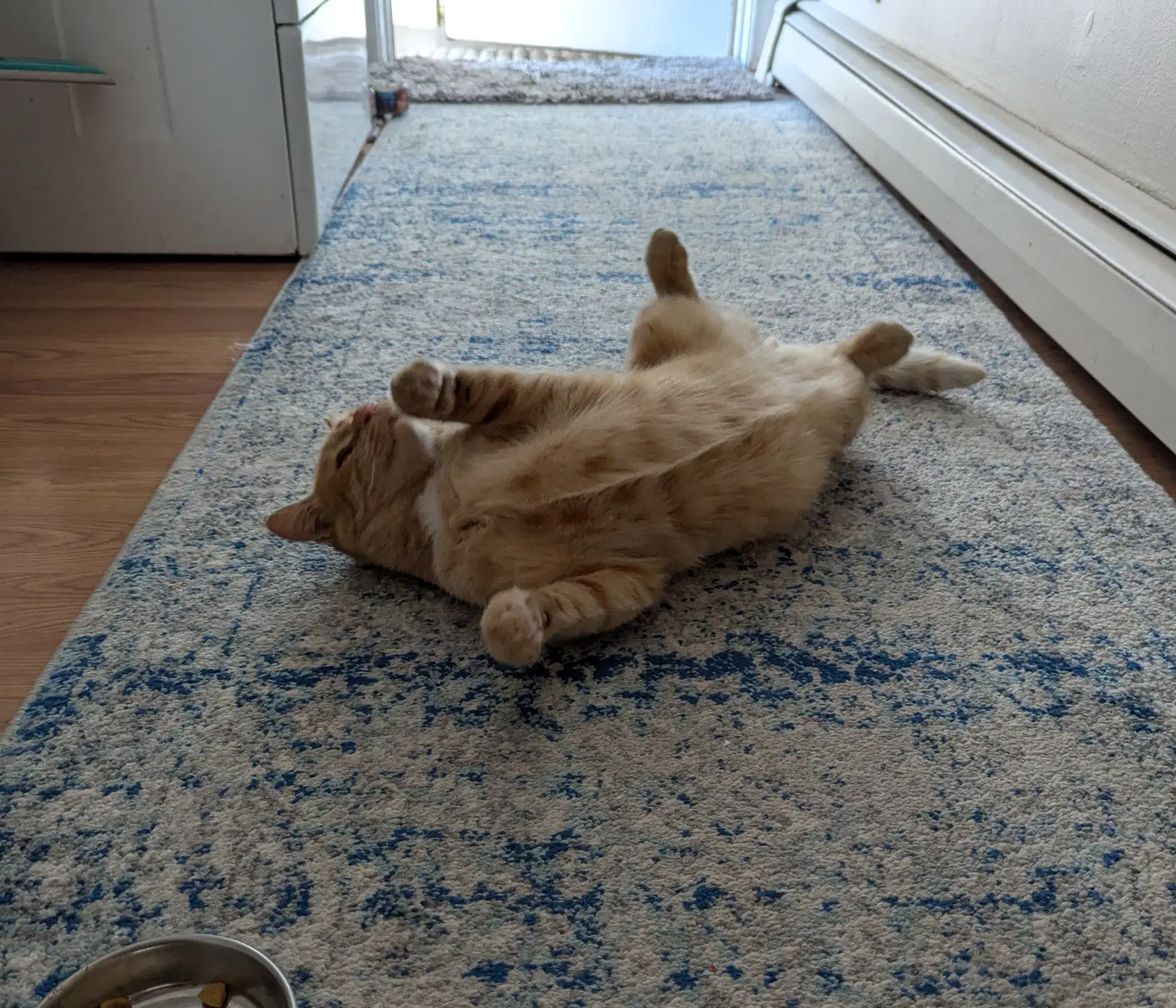 Belly image 3