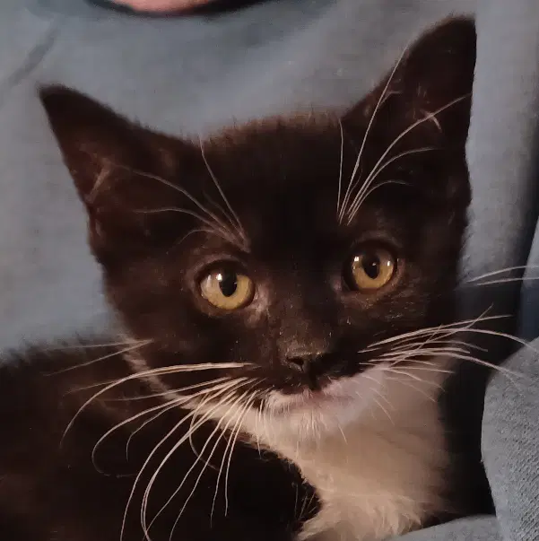 Keiko image 1