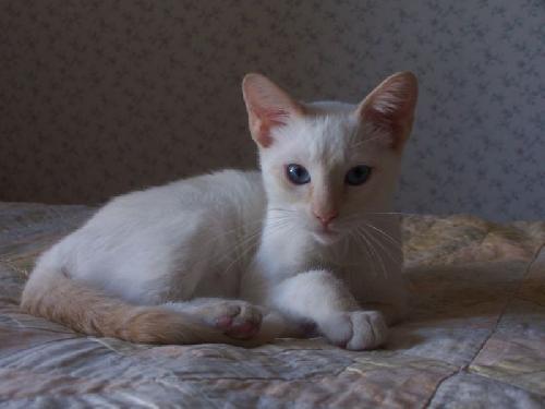 Casper