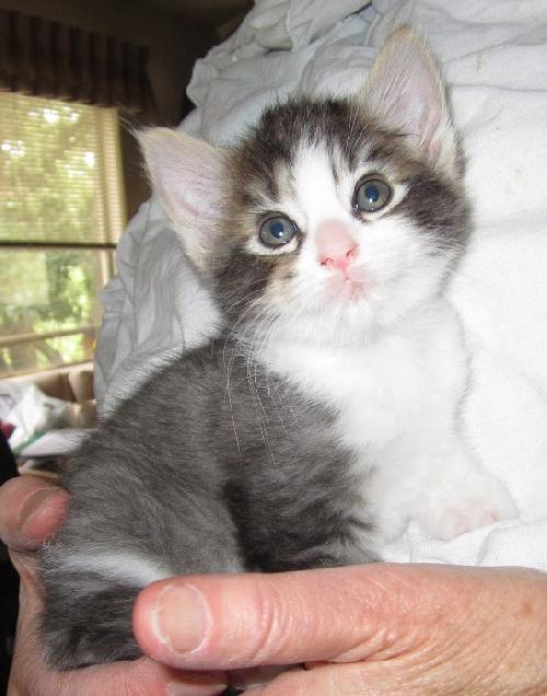 Precious