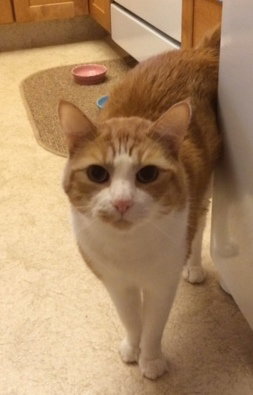 Chester