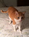 Chester
