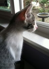 Cleo